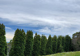 Woolrich Lookout