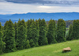 Woolrich Lookout