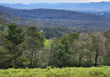 Woolrich Lookout