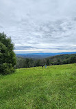 Woolrich Lookout