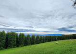 Woolrich Lookout