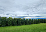 Woolrich Lookout