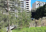 Docklands Park