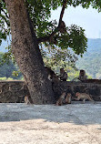 Kanheri Caves