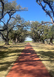 Oak Alley Plantation