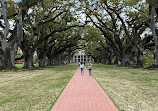 Oak Alley Plantation