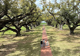 Oak Alley Plantation