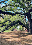 Oak Alley Plantation