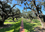 Oak Alley Plantation