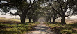 Oak Alley Plantation