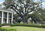 Oak Alley Plantation