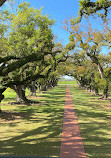 Oak Alley Plantation