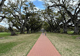 Oak Alley Plantation