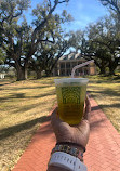 Oak Alley Plantation