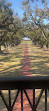 Oak Alley Plantation