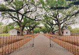 Oak Alley Plantation