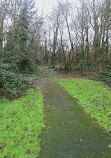 Boilton Wood Local Nature Reserve