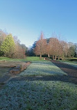 Boilton Wood Local Nature Reserve