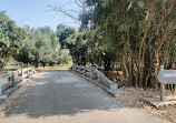 Chandigarh Botanical Garden