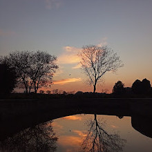 Chandigarh Botanical Garden