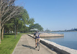 Lower Neponset River Trail