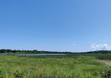 Lower Neponset River Trail