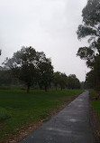 Yollinko Wetlands