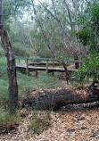 Yollinko Wetlands