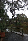 Yollinko Wetlands