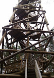 Bumbu Hill Firewatch Tower