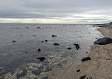 Point Gellibrand Coastal Heritage Park