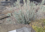 Point Gellibrand Coastal Heritage Park