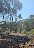 You Yangs Regional Park