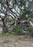 You Yangs Regional Park