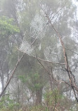 You Yangs Regional Park