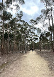 You Yangs Regional Park