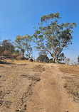 You Yangs Regional Park