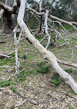 You Yangs Regional Park