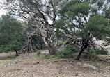 You Yangs Regional Park