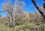 You Yangs Regional Park