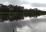 Bushy Park Bird Hide