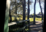 Bushy Park Bird Hide