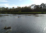 Bushy Park Bird Hide