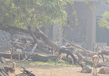 Zoo Park