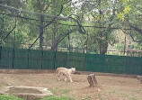 Zoo Park