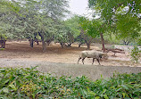 Zoo Park