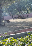 Zoo Park