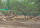 Zoo Park