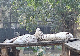 Zoo Park