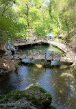 Butterflies Valley